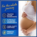 iron-and-folic-acid-supplements-for-wome-2.jpg