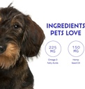 wonder-paws-organic-hemp-oil-for-dogs-90-5.jpg