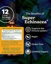 herb-pharm-certified-organic-super-echin-2.jpg