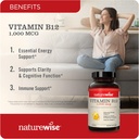 naturewise-vitamin-d3-5000iu-b12-1000mcg-3.jpg