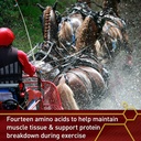 vita-flex-pro-accel-health-wellness-form-4.jpg