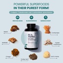 happy-fox-brain-body-convenience-capsule-2.jpg