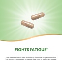 natures-way-asian-ginseng-fights-fatigue-3.jpg