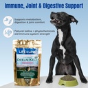 life-line-organic-ocean-kelp-powder-for--4.jpg