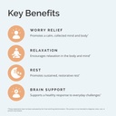 dr-amen-brainmd-calm-my-brain---90-vegan-4.jpg