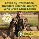 happy-jack-milkade-dog-breeding-nursing--4.jpg