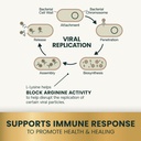 vetriscience-lysine-immunity-health-chew-6.jpg