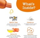 zesty-paws-allergy-immune-flavor-infusio-3.jpg
