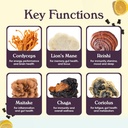nutrops-sugar-free-lions-mane-mushroom-g-6.jpg
