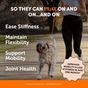 10-in-1-multivitamin-hip-joint-health-so-3.jpg