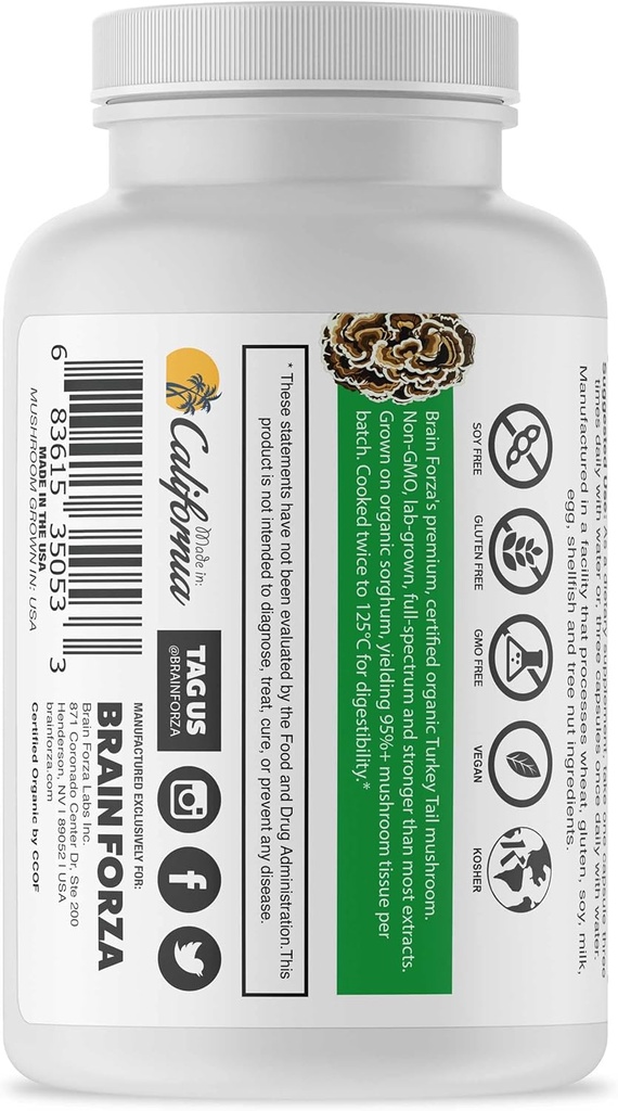 brain-forza-organic-turkey-tail-mushroom-3.jpg