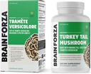 brain-forza-organic-turkey-tail-mushroom-4.jpg