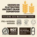 brain-forza-organic-turkey-tail-mushroom-6.jpg