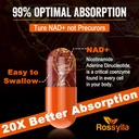 1300-mg-liposomal-nad-supplement-highest-4.jpg