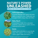 bold-botanica-ashwagandha-plus-stress-mo-5.jpg