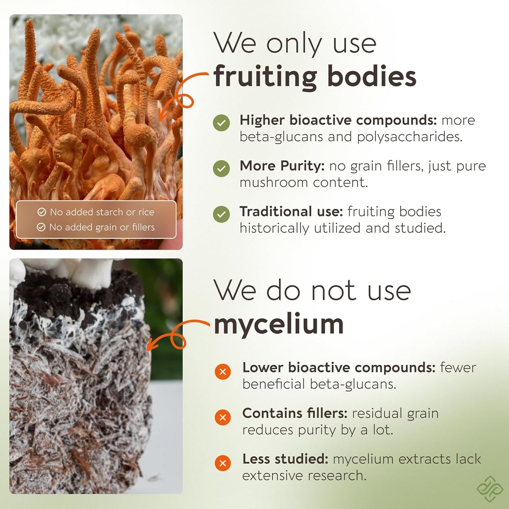 organic-cordyceps-mushroom-capsules-supp-3.jpg
