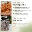 organic-cordyceps-mushroom-capsules-supp-3.jpg