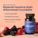 pendulum-akkermansia-metabolic-daily-bun-5.jpg