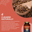 healthforce-superfoods-scram---herbal-su-4.jpg