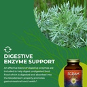 healthforce-superfoods-scram---herbal-su-6.jpg