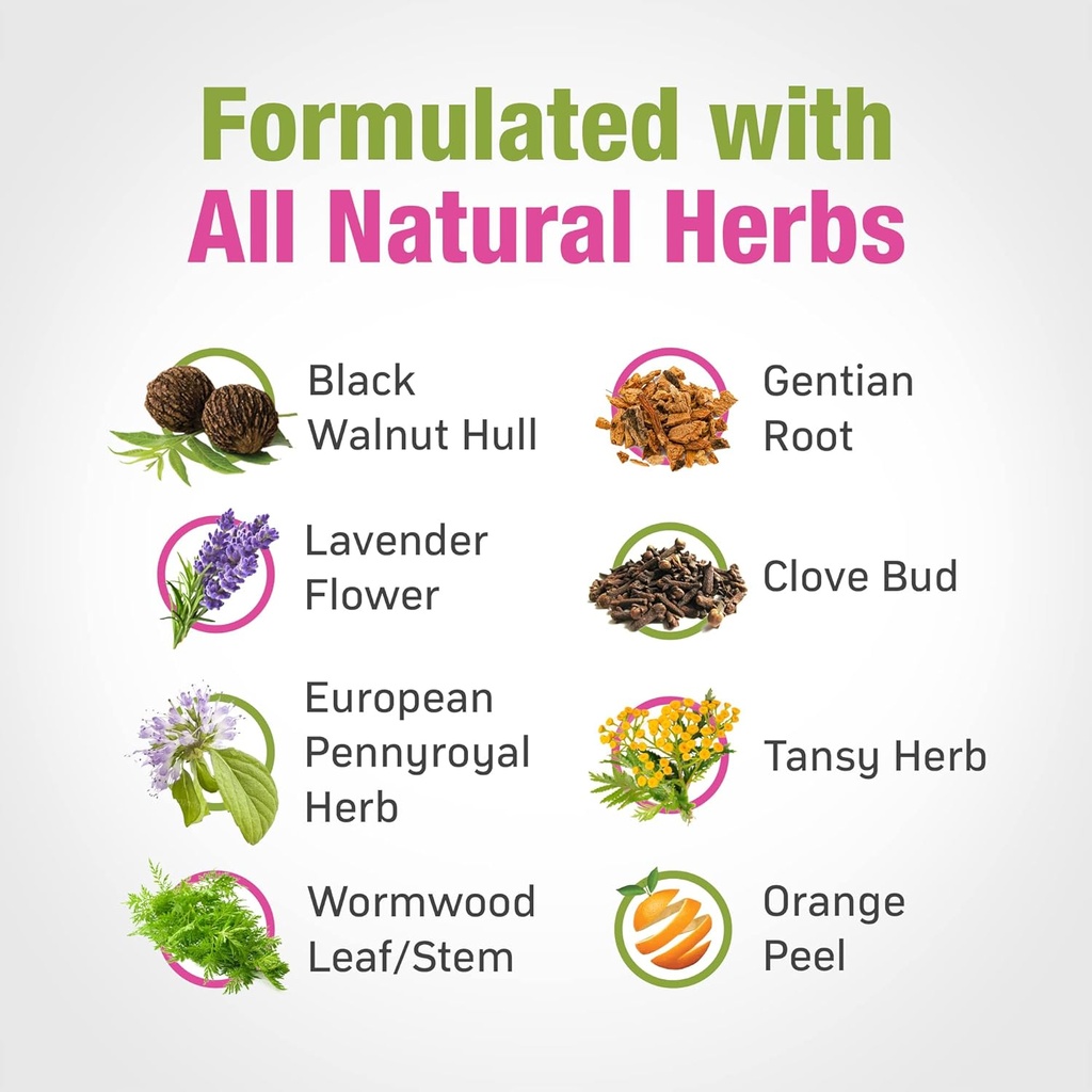 cedar-bear---intestinal-cleanse-for-kids-3.jpg