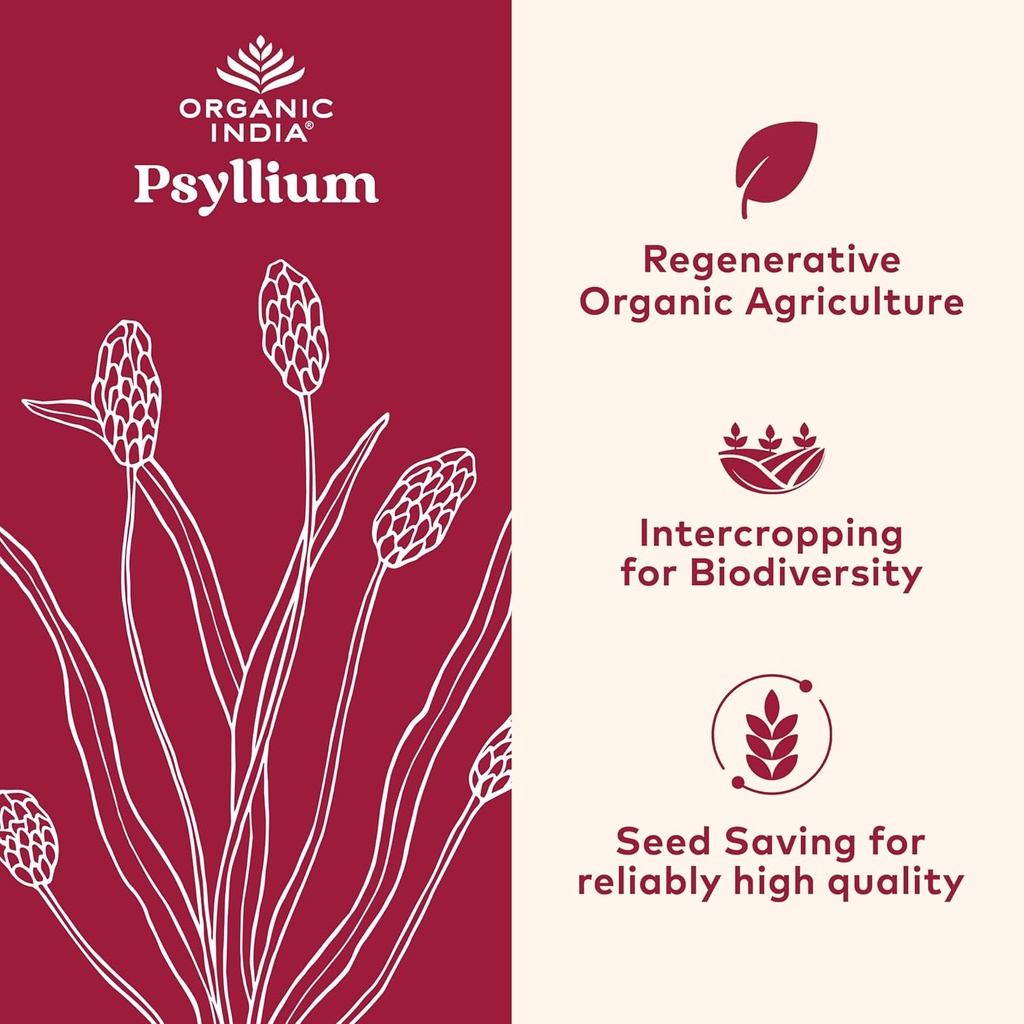 organic-india-whole-psyllium-husk-powder-3.jpg