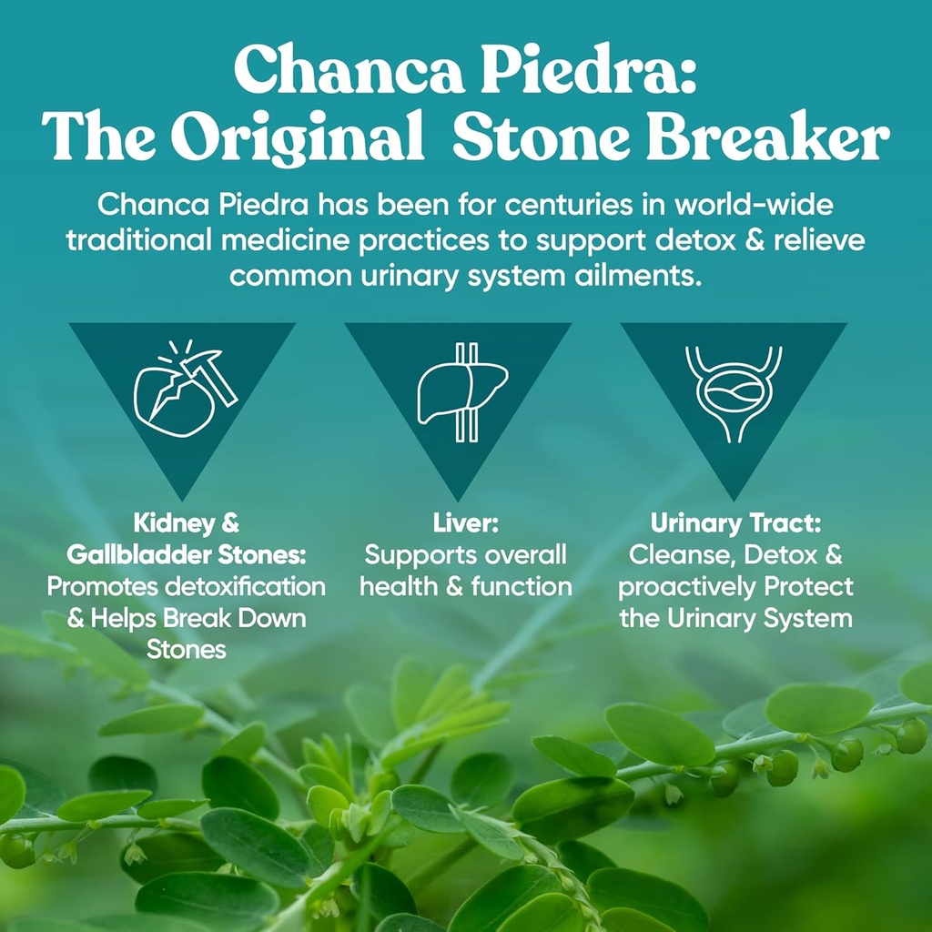chanca-piedra-stone-breaker-natural-diss-5.jpg