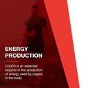 protocol-for-life-balance---ubiquinol-10-3.jpg