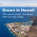 nutrex-hawaii-pure-hawaiian-spirulina-50-4.jpg