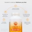 alkalini-c-buffered-vitamin-c-powder---p-5.jpg