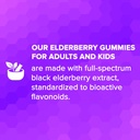 natural-bioscience-sambucus-elderberry-g-5.jpg