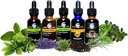 cedar-bear-immune-blast-off-for-kids-a-l-3.jpg