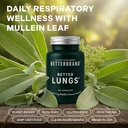 betterbrand-betterlungs-daily-respirator-2.jpg