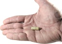 super-wellness-immune-booster---querceti-6.jpg