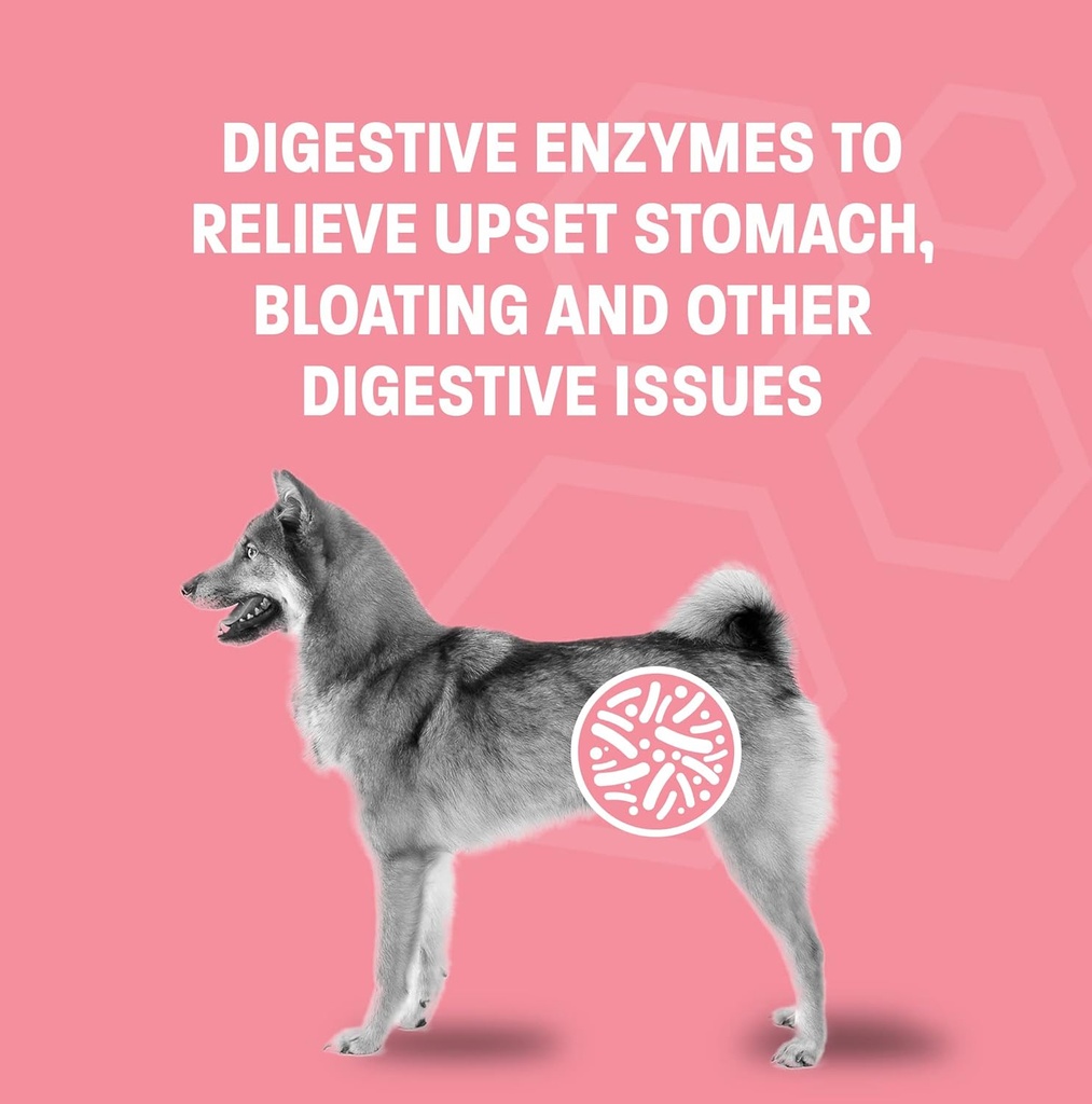 probiotic-oral-paste-for-dogs-cats---sup-3.jpg