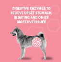 probiotic-oral-paste-for-dogs-cats---sup-3.jpg