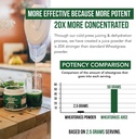 organic-wheatgrass-juice-powder---organi-5.jpg