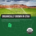 organic-wheatgrass-juice-powder---organi-6.jpg