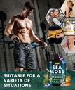 sea-moss-capsules-with-black-seed-oil-as-5.jpg