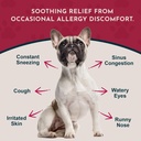 animal-essentials-seasonal-allergy--herb-2.jpg