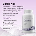 theralogix-berberine-enhanced-absorption-3.jpg