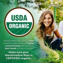 zazzee-usda-organic-marshmallow-root-101-2.jpg