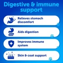 probiotics-for-dogs---support-gut-health-2.jpg