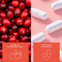 gemma-stay-on-tract-cranberry-supplement-4.jpg