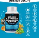 sea-moss-3000-black-seed-oil-2000-ashwag-5.jpg