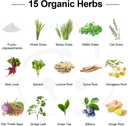 probiotics-for-women-and-men-300-billion-6.jpg