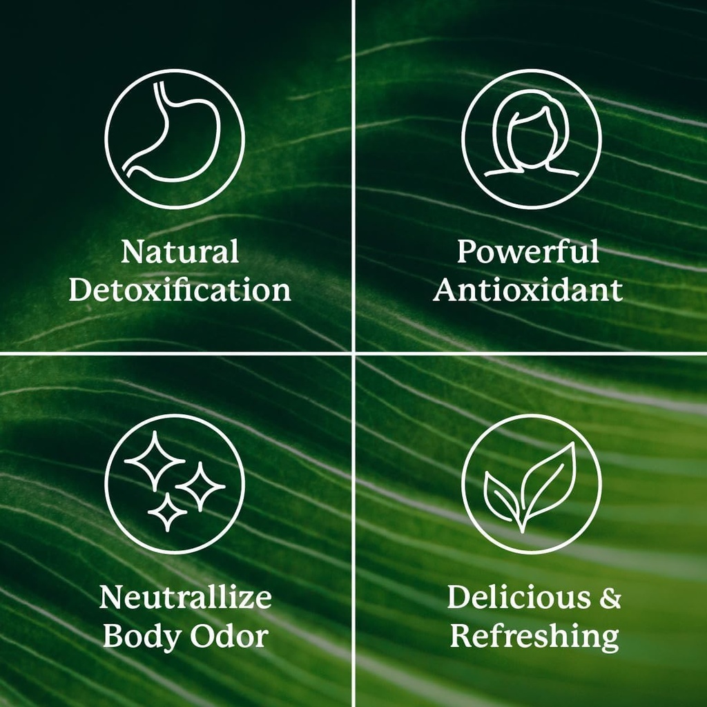 natures-sunshine-chlorophyll-stick-packs-5.jpg