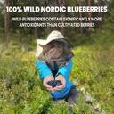 jungle-powders-wild-bilberry-extract-org-5.jpg