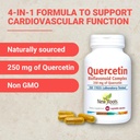 new-roots-herbal-quercetin-with-bromelai-3.jpg