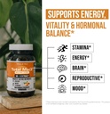 total-maca-maca-root-extract-301-extract-4.jpg